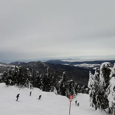 Hojsova Straz *