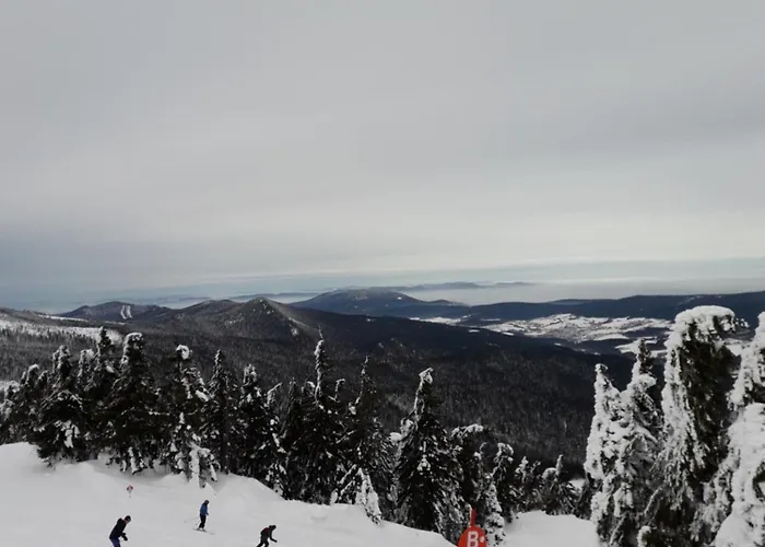 Hojsova Straz *